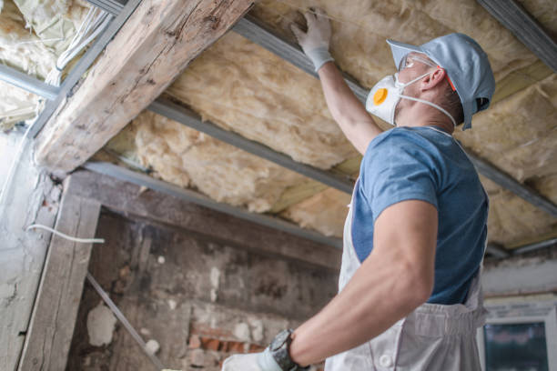Best Insulation Repair Services  in Johnstown, NY