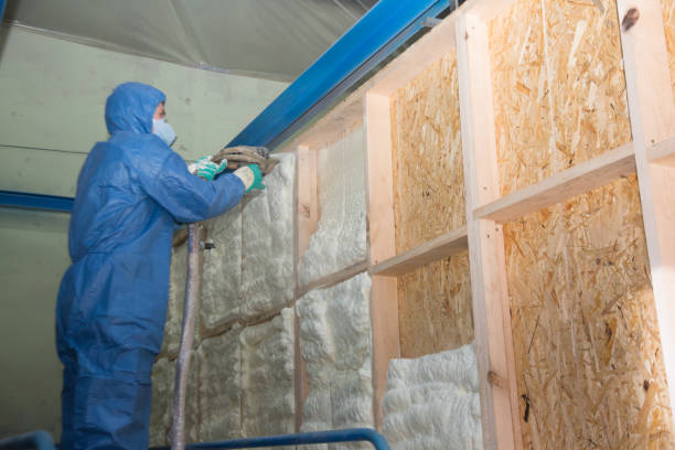 Best Insulation Contractors for Homes  in Johnstown, NY